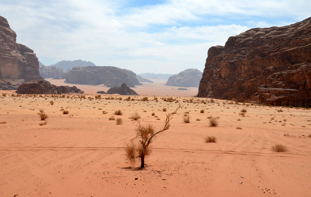 Wadi Rum…a majestic landscape in Jordan